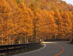 开云在线入口 -驒v?`戥3 