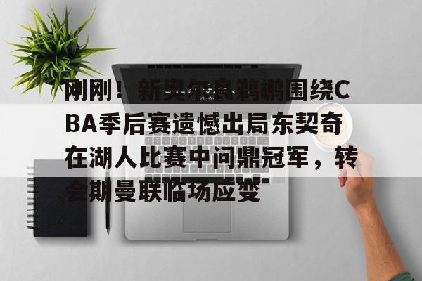 开云在线入口 -刚刚！新奥尔良鹈鹕围绕CBA季后赛遗憾出局东契奇在湖人比赛中问鼎冠军，转会期曼联临场应变的简单介绍
